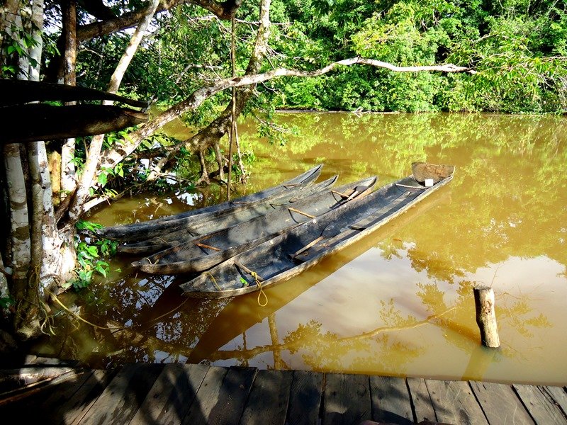 1 Woche Venezuela Rundreise – Orinoco Delta (2) 1 Woche Venezuela Rundreise – Orinoco Delta (2)