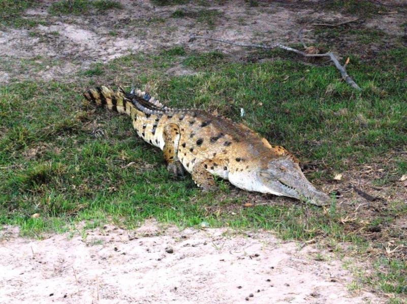 Explorer Rundreise Venezuela (1) Explorer Rundreise Venezuela (1)