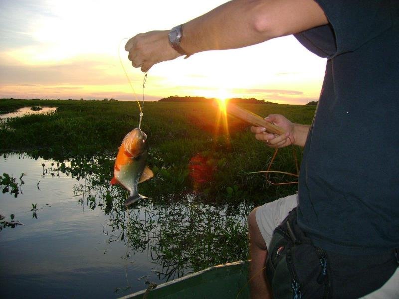 Explorer Rundreise Venezuela (2) Explorer Rundreise Venezuela (2)