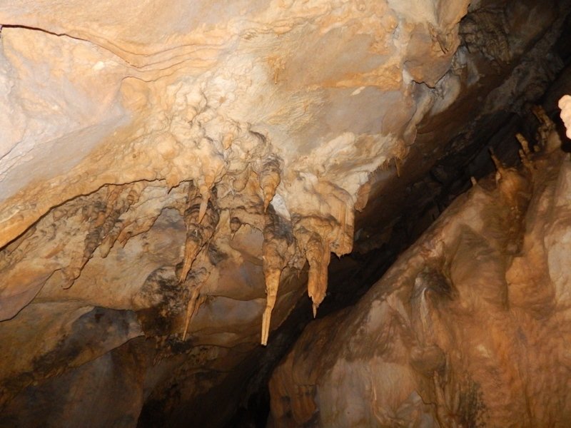 Explorer Rundreise Venezuela (3) Explorer Rundreise Venezuela (3)