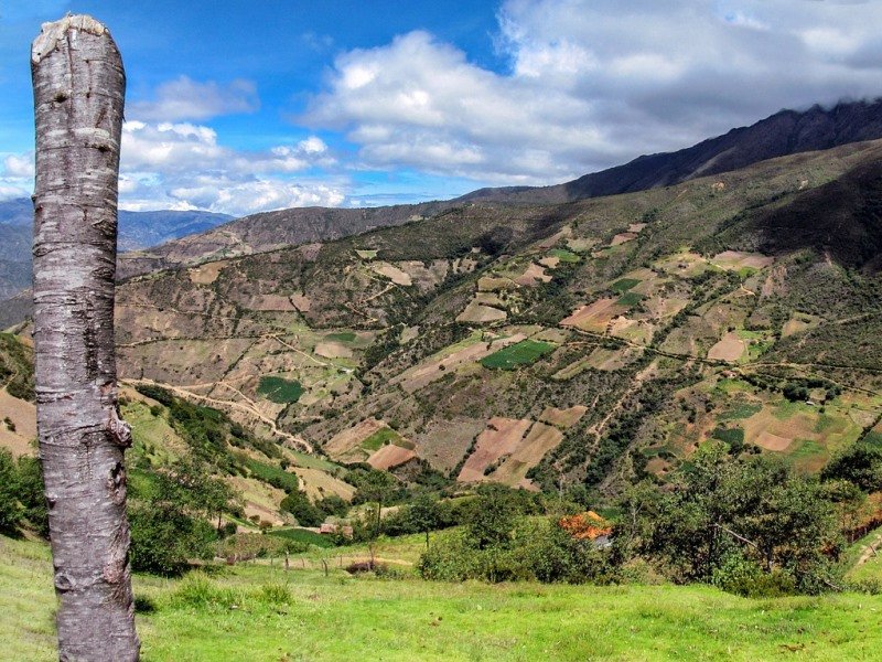 Explorer Rundreise Venezuela (4) Explorer Rundreise Venezuela (4)